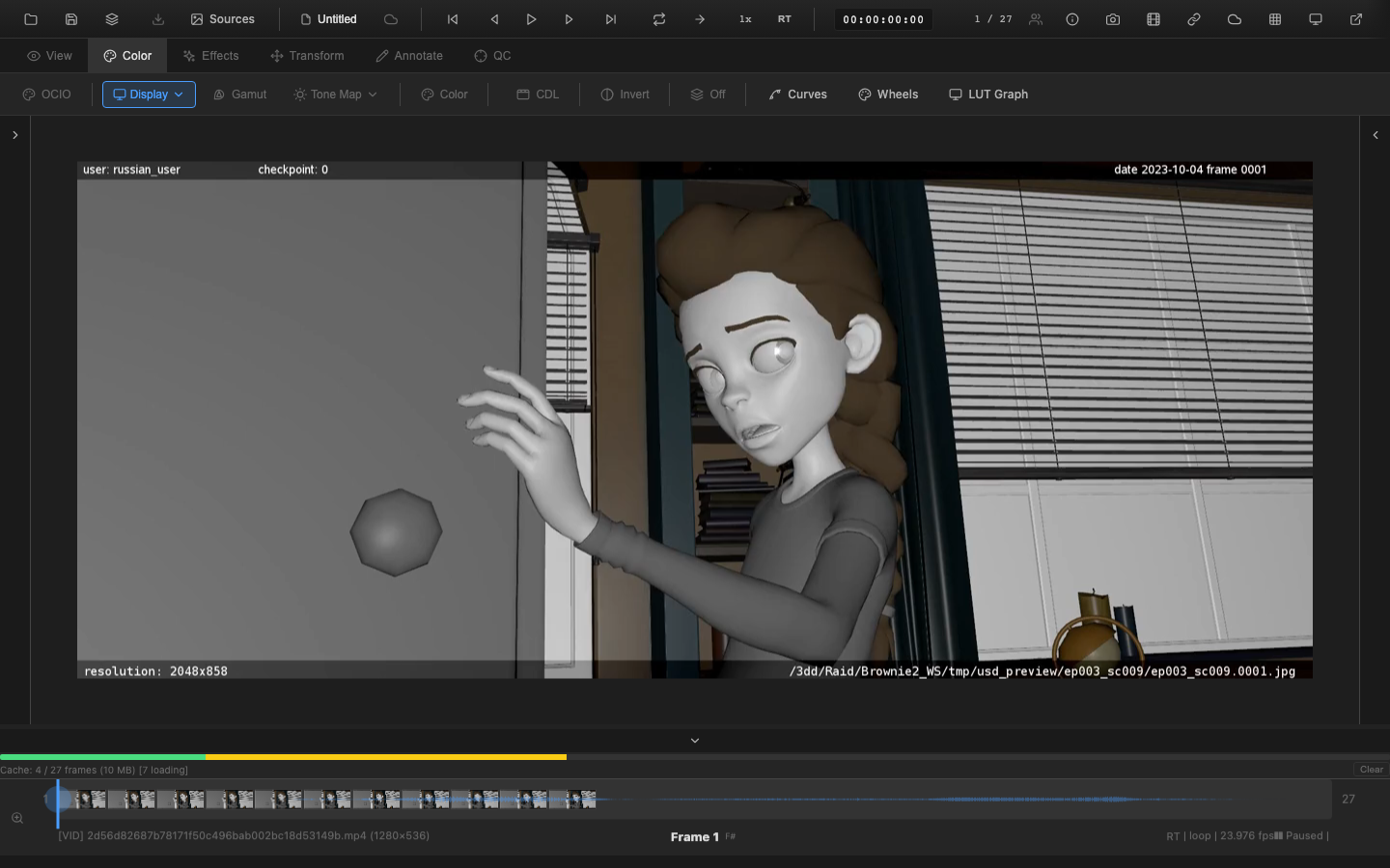 Display profiles and transfer function selection